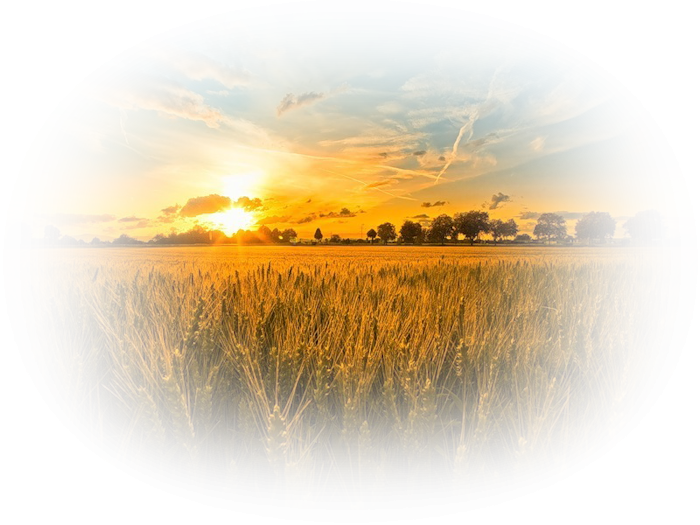 Рассвет солнца на прозрачном фоне