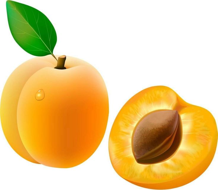 Apricot — абрикос