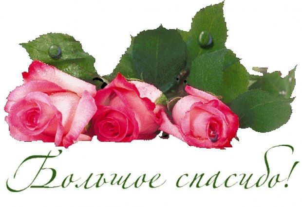 Открытки спасибо большое