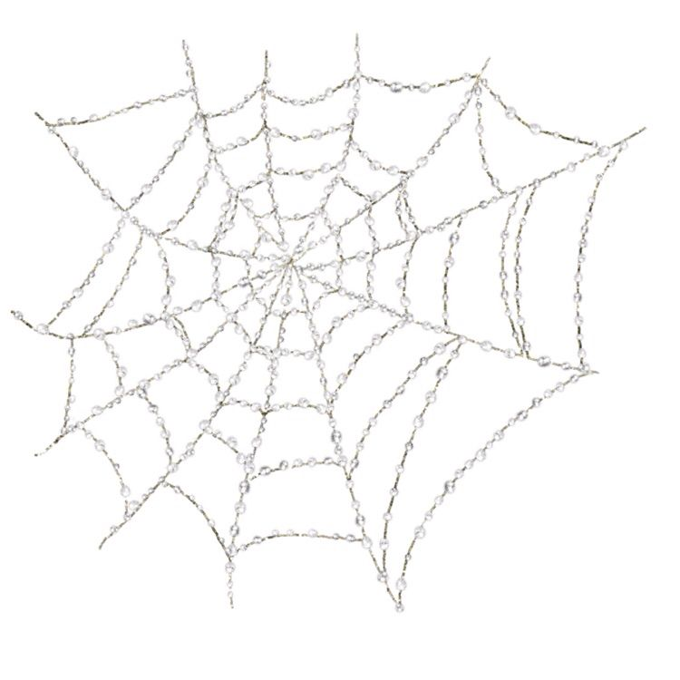 Паук на паутине