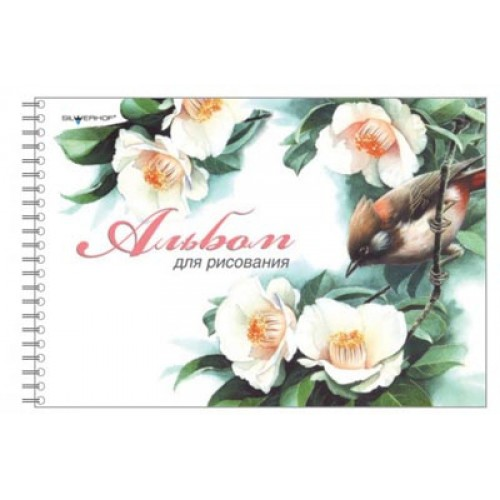 Альбом для рисования на прозрачном фоне