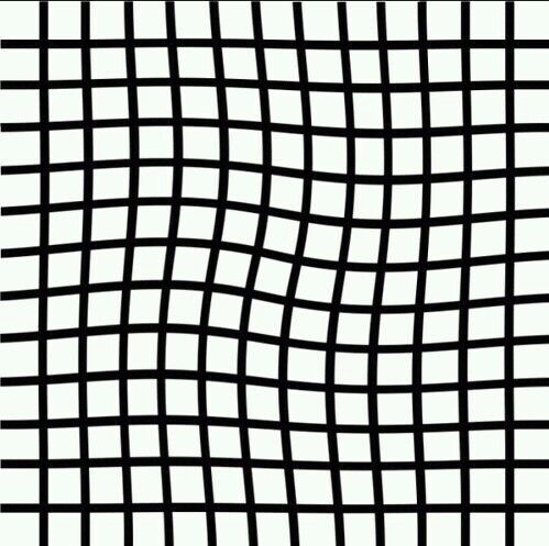 Сетка на белом фоне