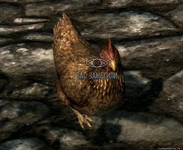 Вас заметили