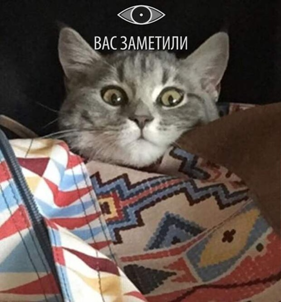 Картинка вас заметили