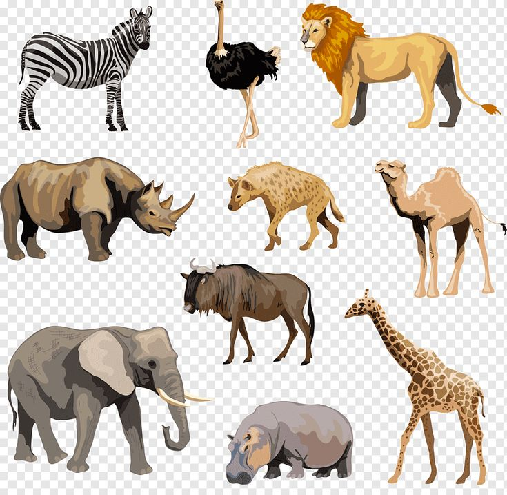Животные Африки для детей вектор