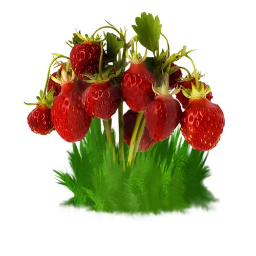 Землянка на прозрачном фоне