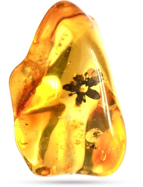 Балтийский янтарь