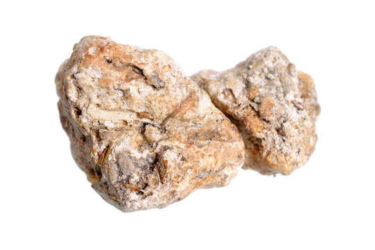 Древесная амбра