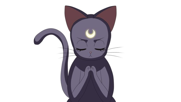 Артемис кот