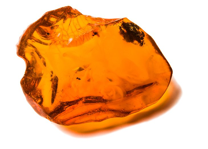 Янтарь амбра