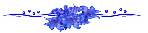 Голубые разделители