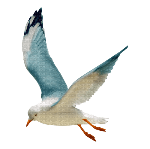 Птица в полете