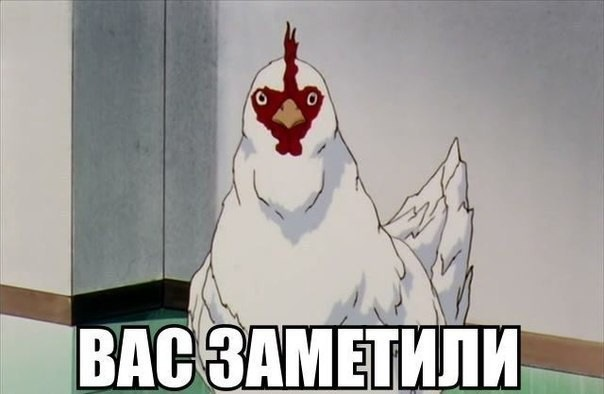 Вас заметили мемы
