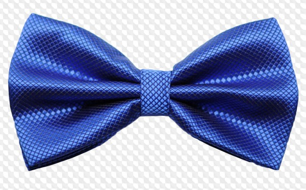 Синяя бабочка мужская