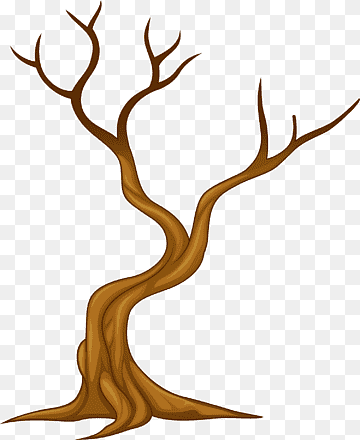 Ствол дерева