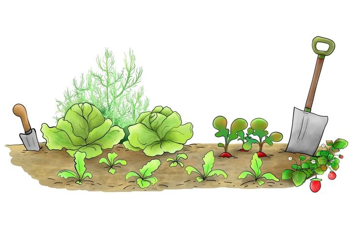 Огород иллюстрация