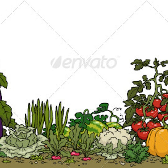 Грядка с овощами для детей