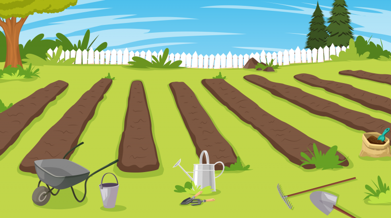 Грядки в огороде