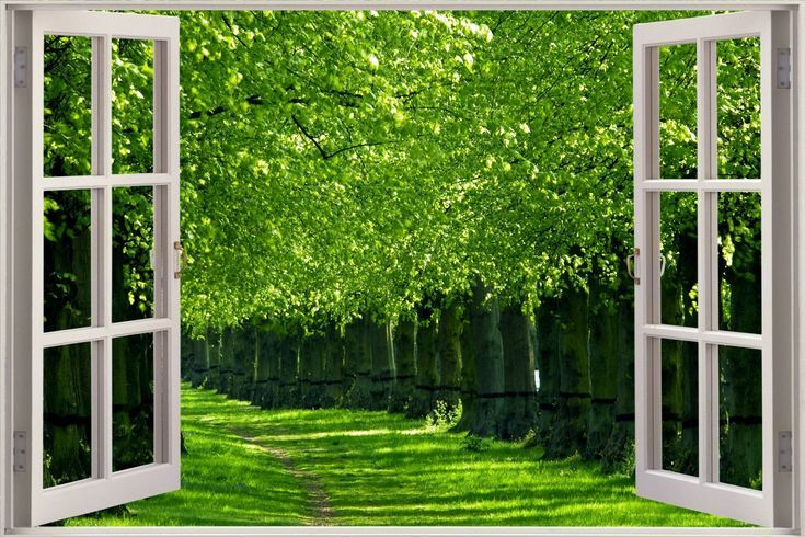 Красивые окна