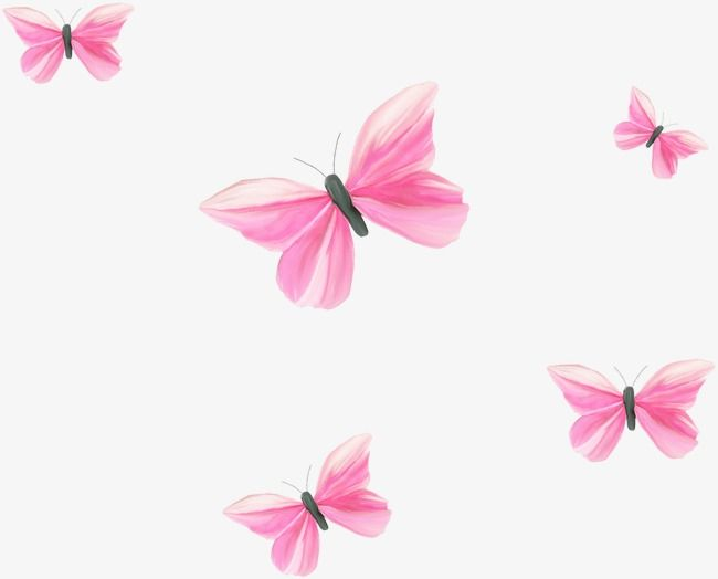 Бабочки на белом фоне