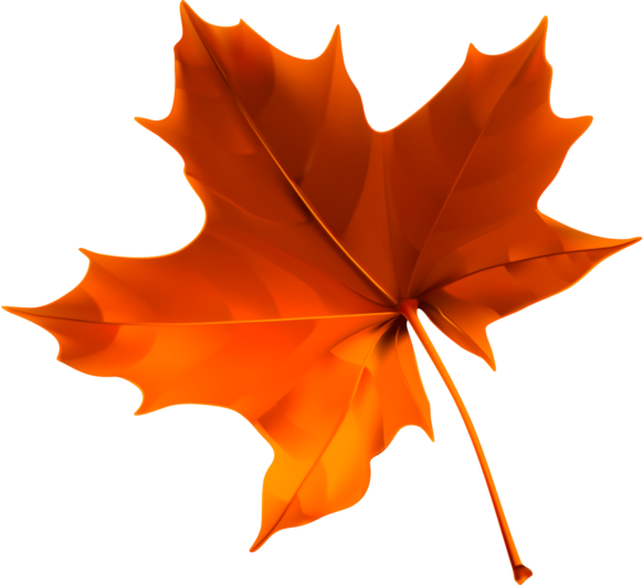 Осень листья