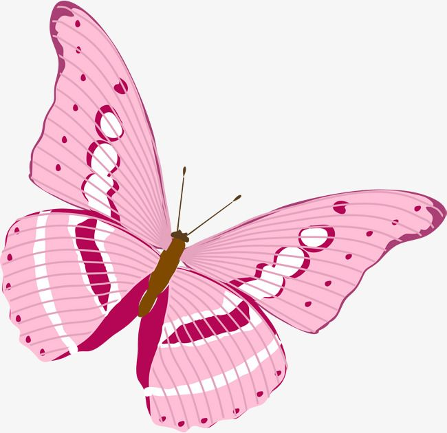 Бабочки розовые