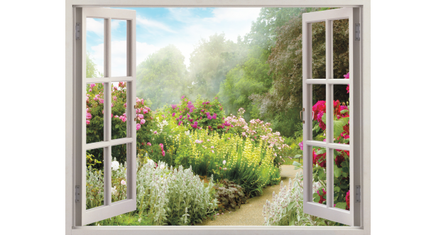 Открытое окно