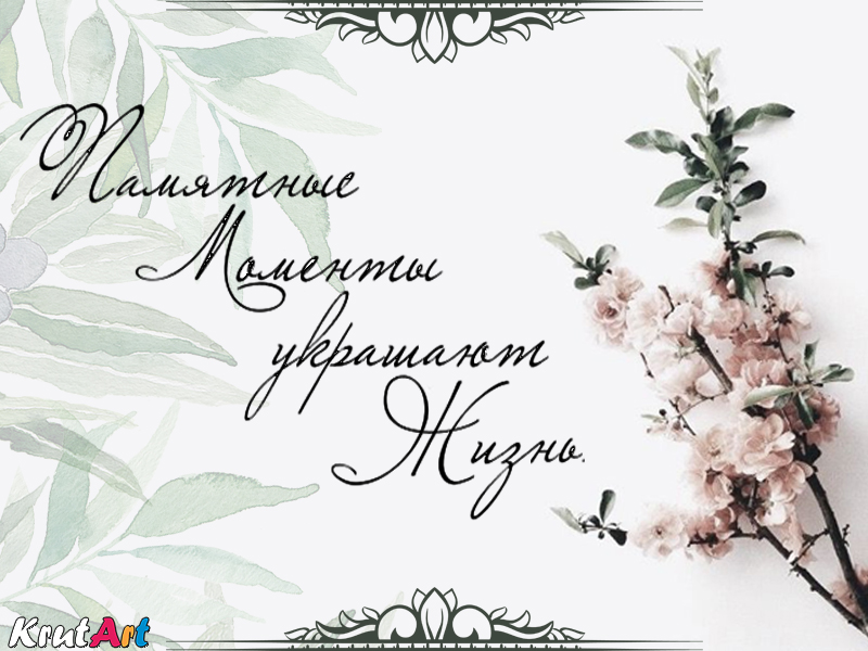 Красивые высказывания для фотоальбома