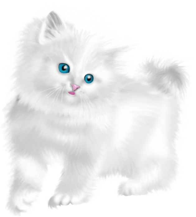 Котенок на белом фоне