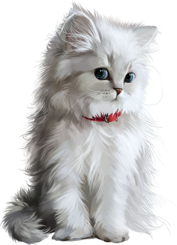 Пушистая кошка