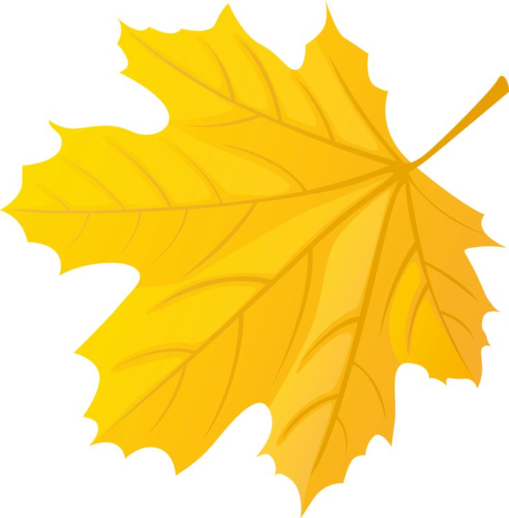 Осенний листок