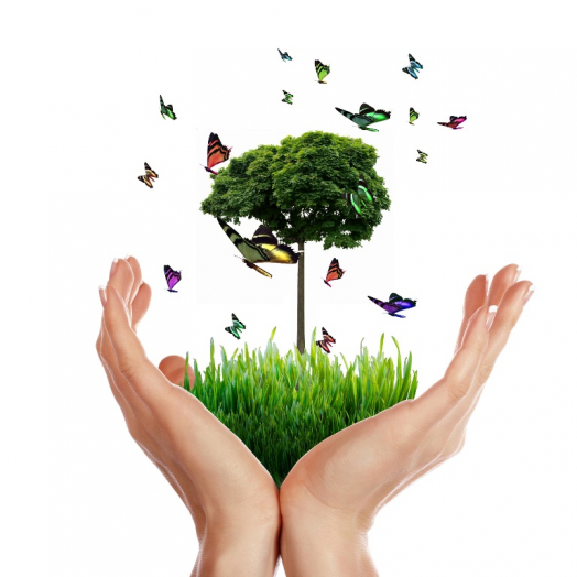 Гармония человека и природы