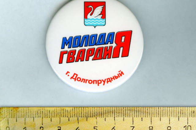 Молодая гвардия Единой России