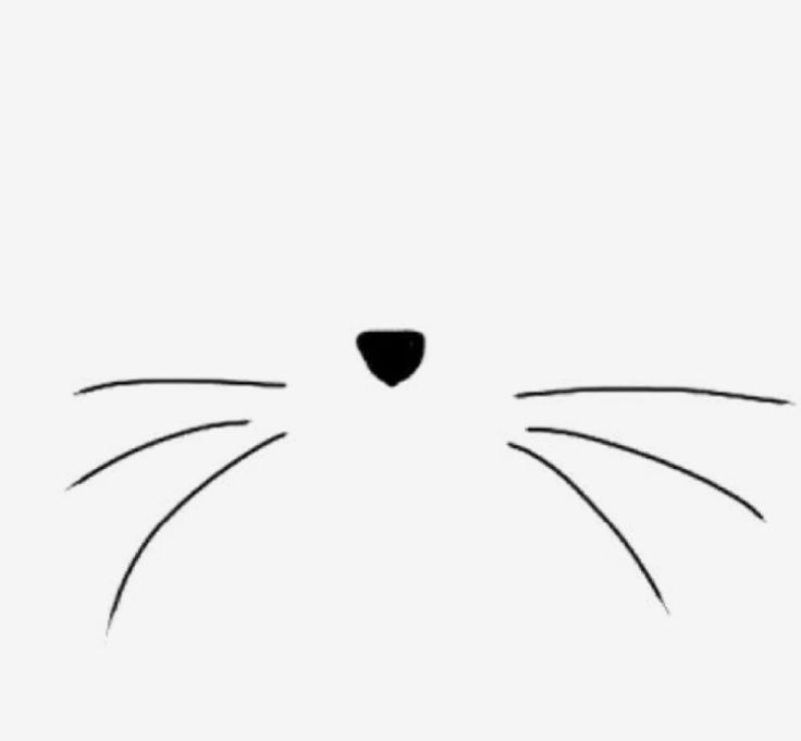 Кошачий нос