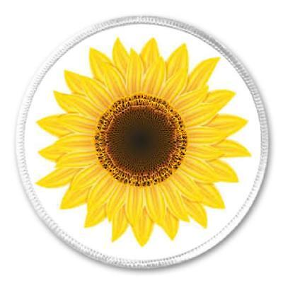 Подсолнух на белом фоне