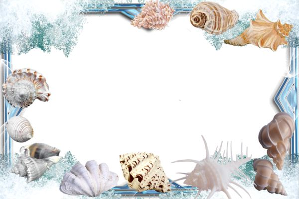 Рамка с ракушками