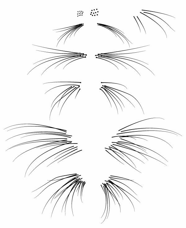 Кошачьи усыьдля фотошопа