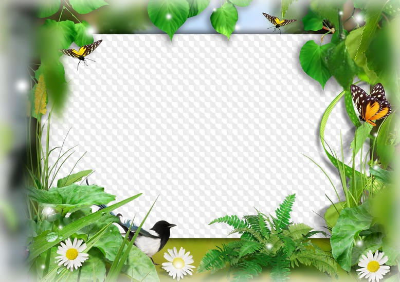 Рамка природа