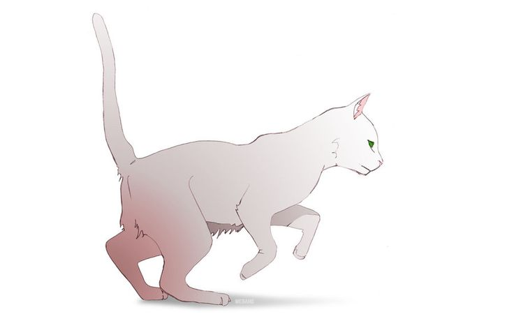Аниме кот на белом фоне