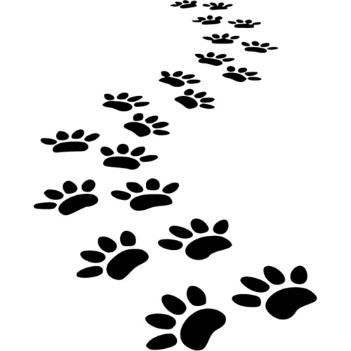 Следы животных на белом фоне