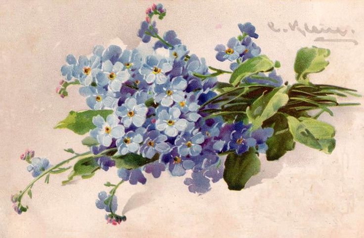 Катарина Кляйн картины