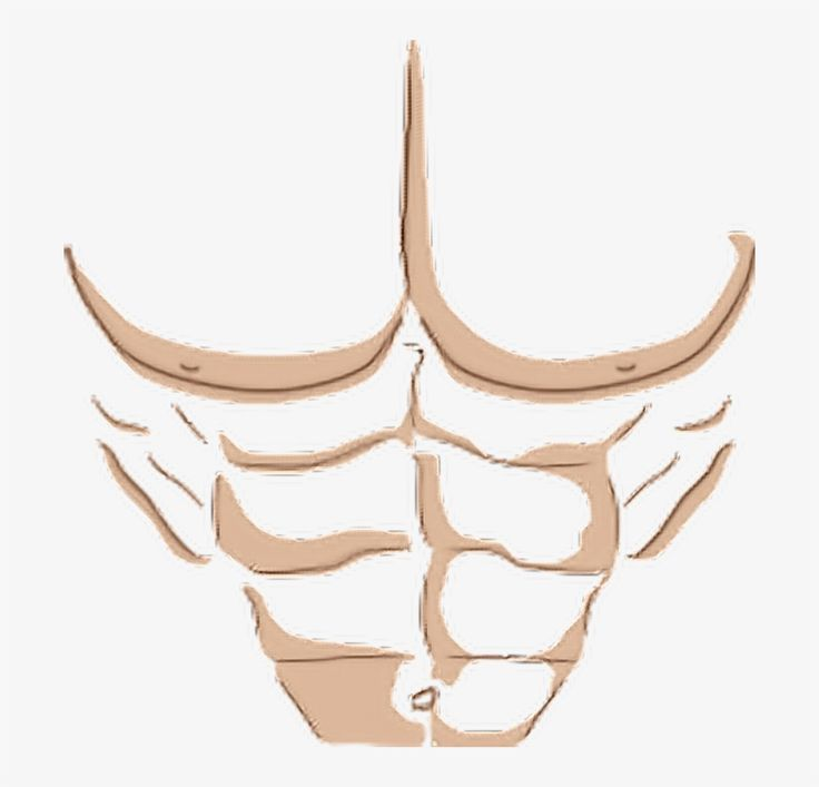 РОБЛОКС T Shirt muscle