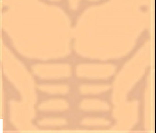 T-Shirt Roblox качок