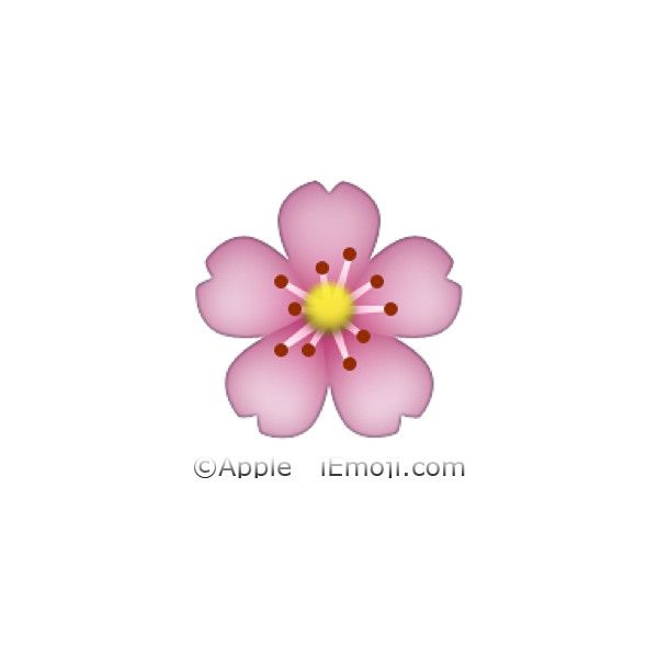 Цветок Сакуры эмодзи