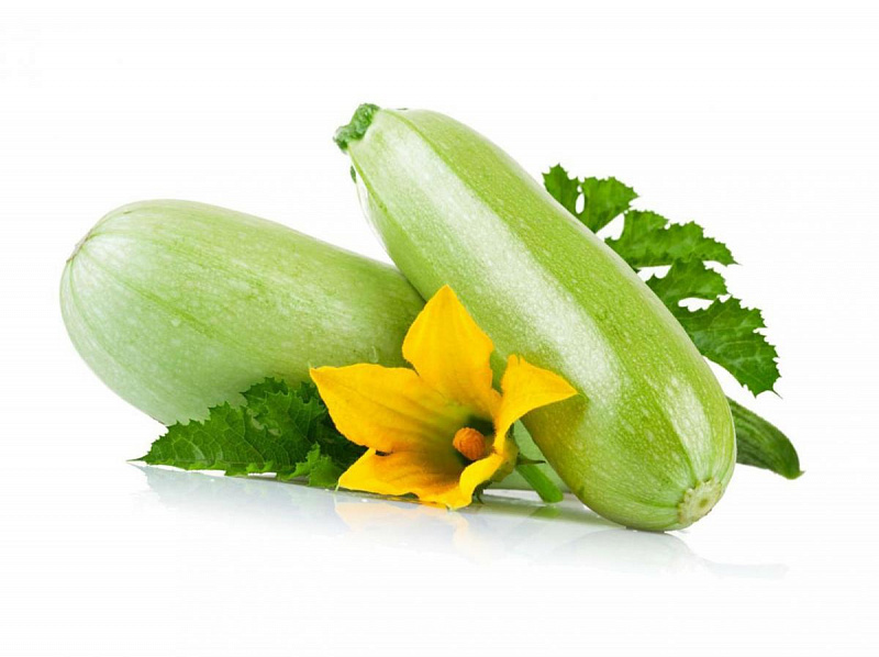 Веселый кабачок на белом фоне