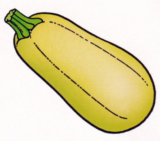 Кабачок картинка