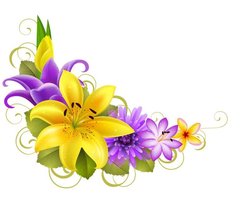 Цветочные уголки