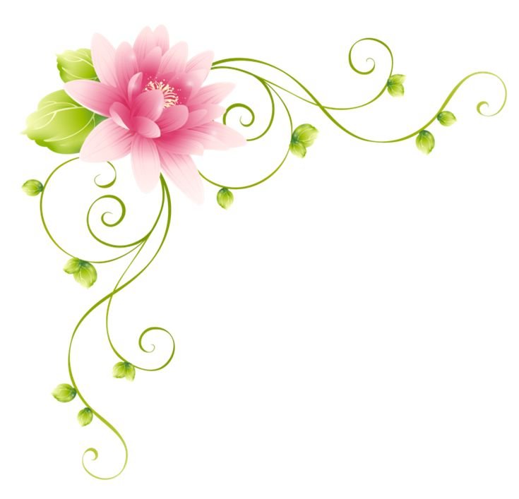 Цветы угловые