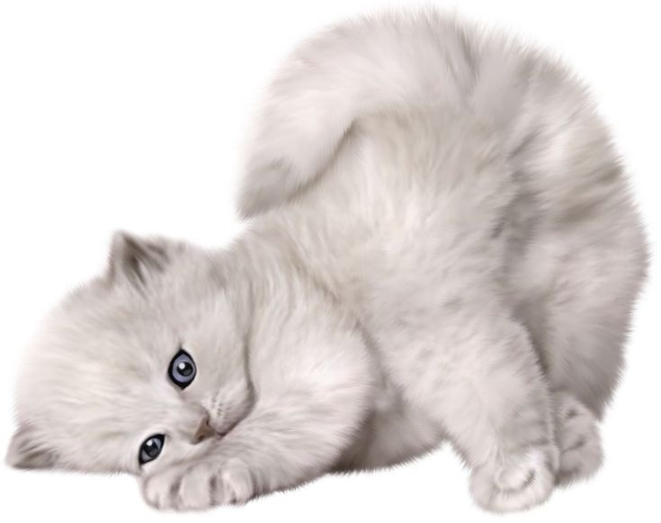 Красивые котята