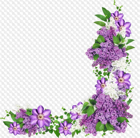 Цветы угловые